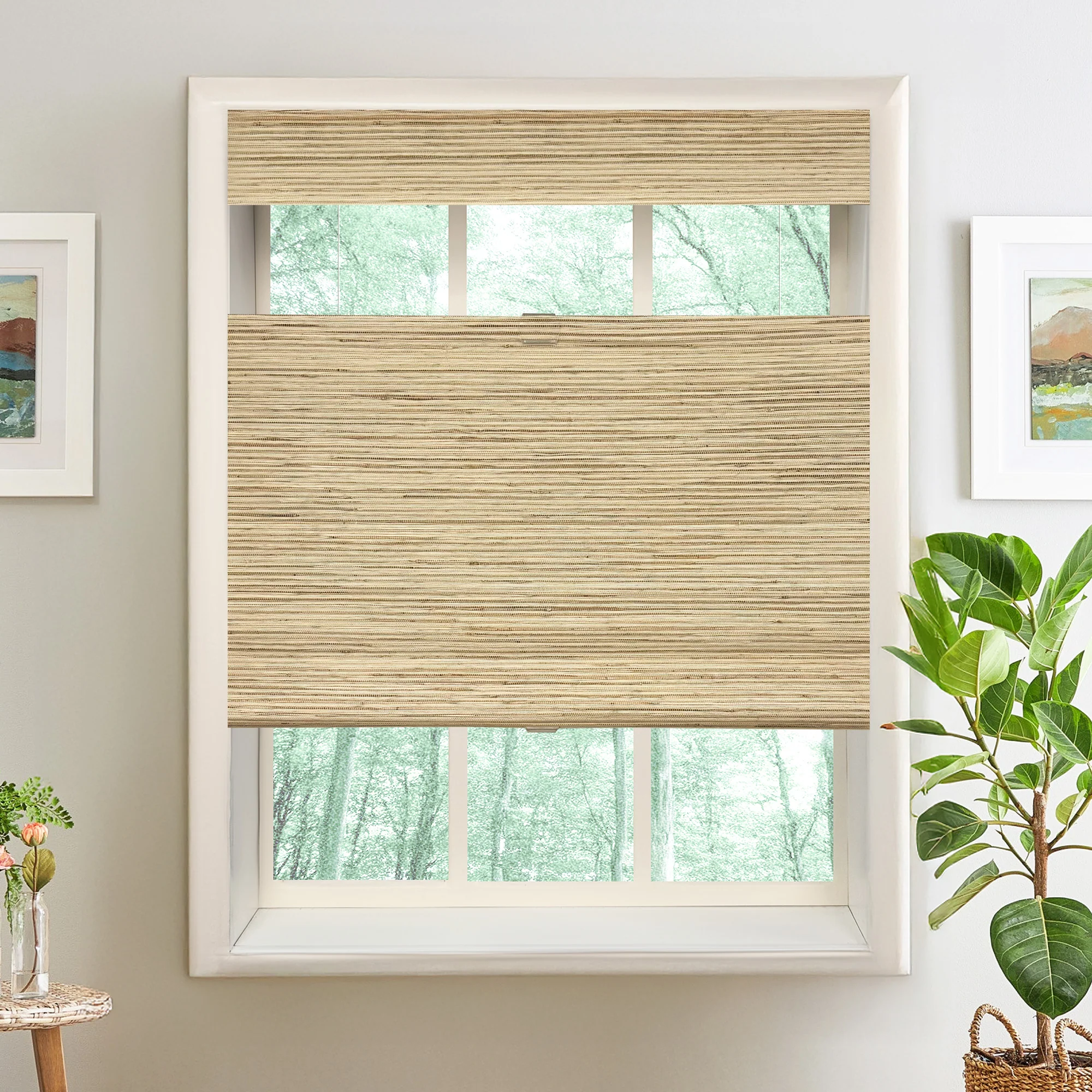 Extra Wide Bamboo Shade & Blinds|Top Down Bottom Up - Image 12