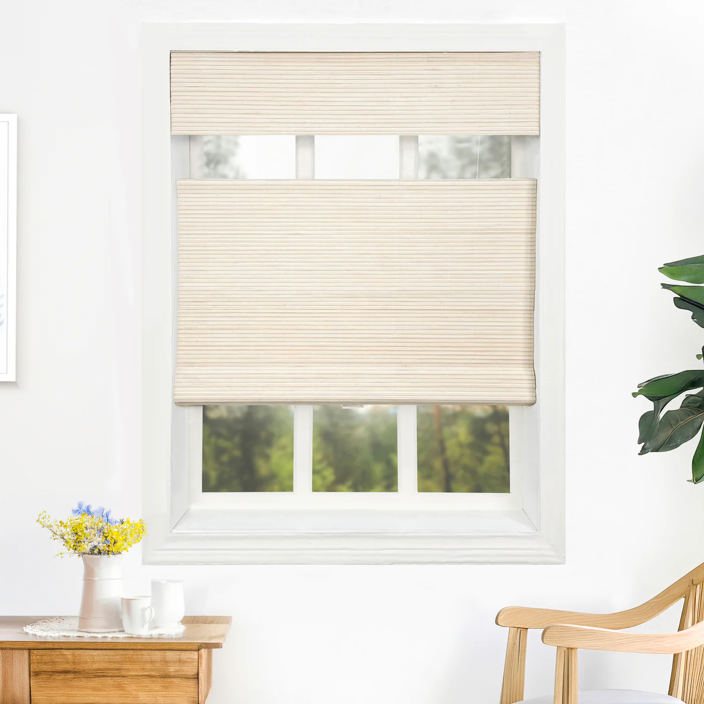 Extra Wide Bamboo Shade & Blinds|Top Down Bottom Up - Image 25