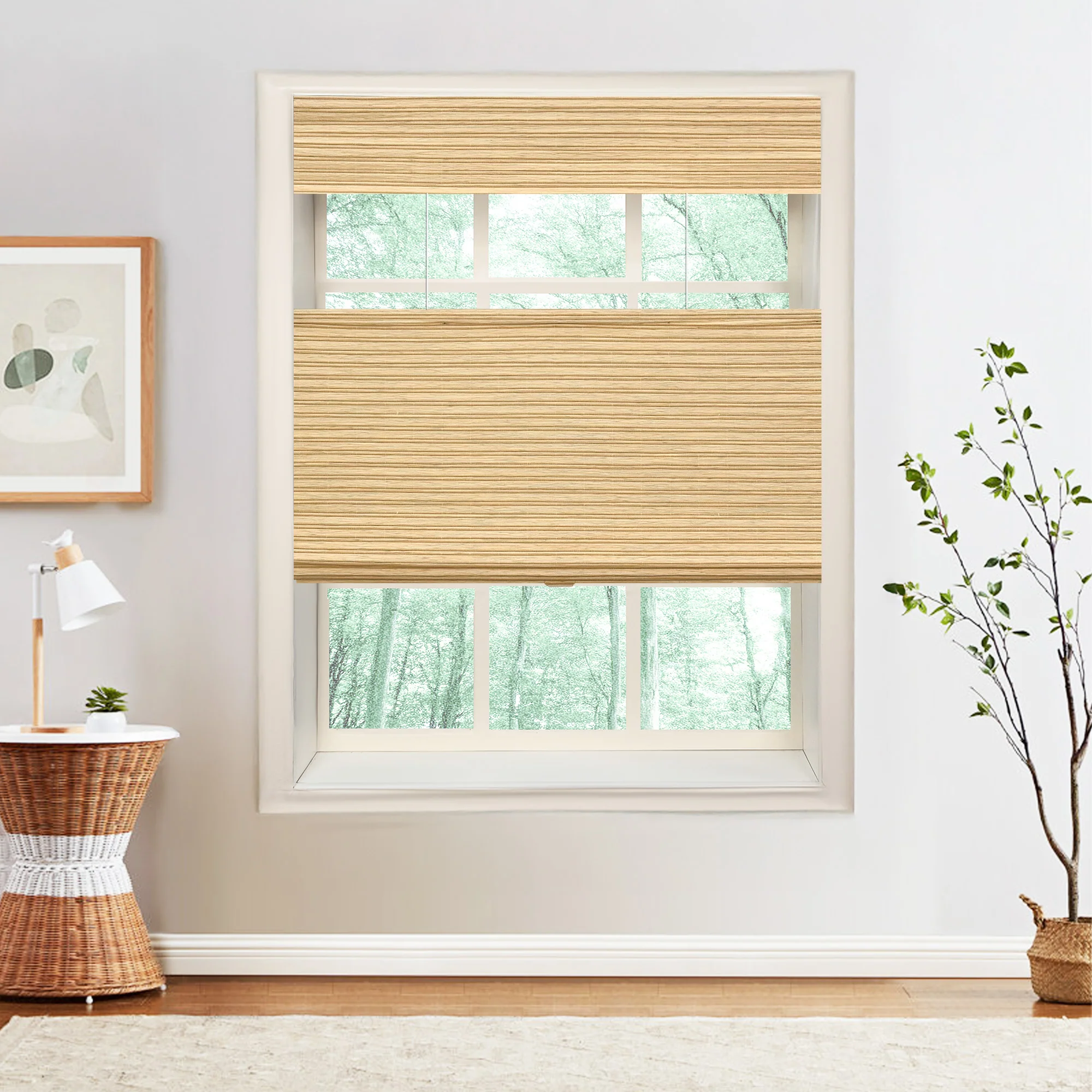 Extra Wide Bamboo Shade & Blinds|Top Down Bottom Up - Image 38