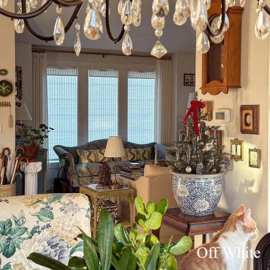 Ivy Woven Bamboo Blinds & Shades | Off White - Image 4