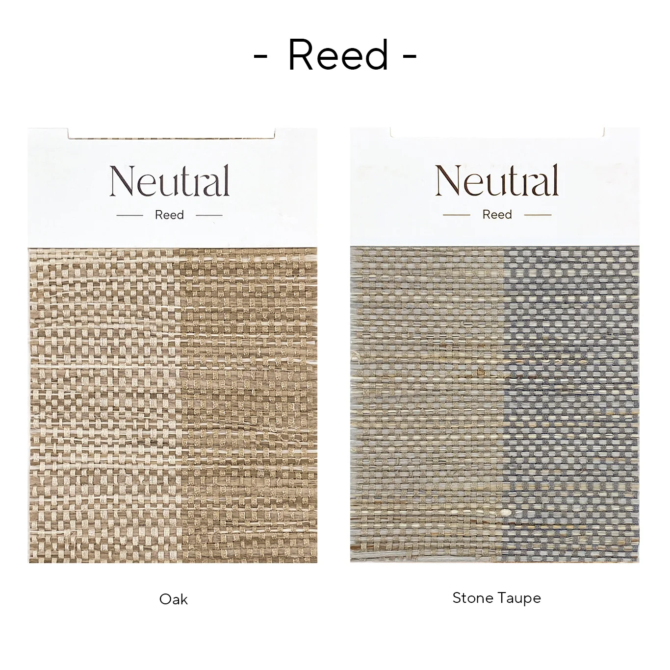 Reed Bamboo Book - Image 3