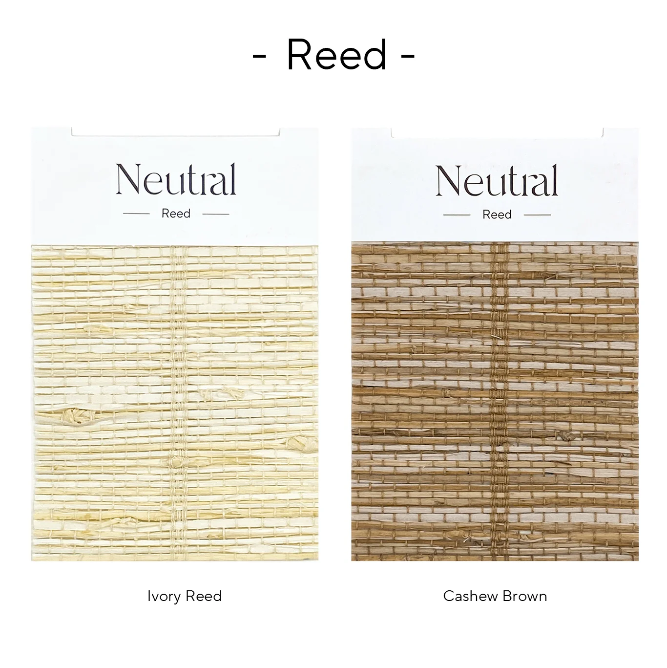Reed Bamboo Book - Image 4