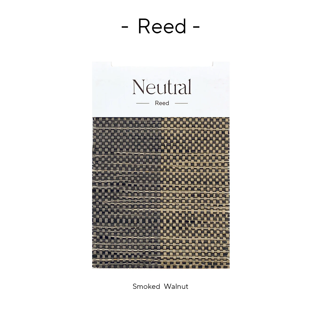 Reed Bamboo Book - Image 5