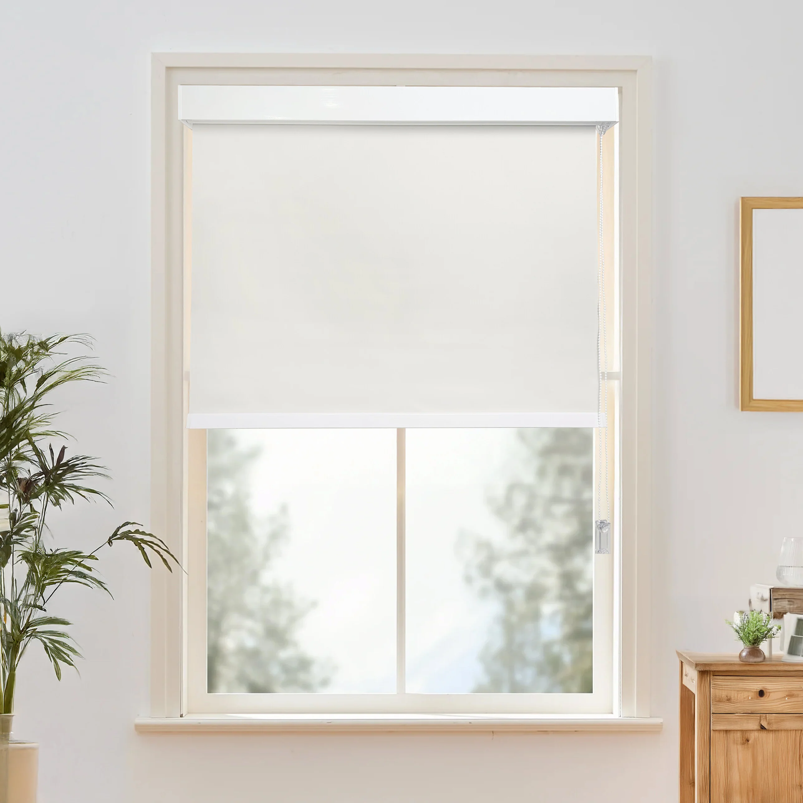 Tavi Roller Shades